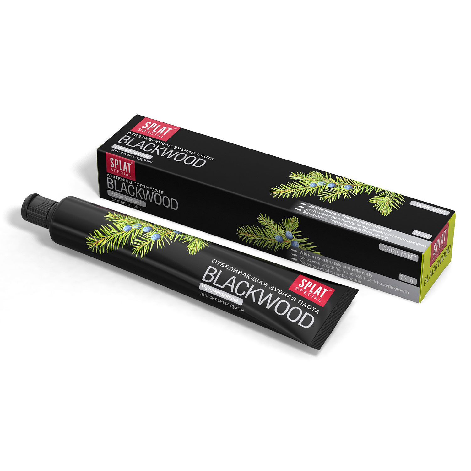 SPLAT Spezielle Blackwood-Zahnpasta ohne Fluor 75 ml