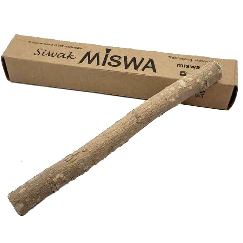 Miswak Zahnbürste Miswa Siwak Salvadora Persica