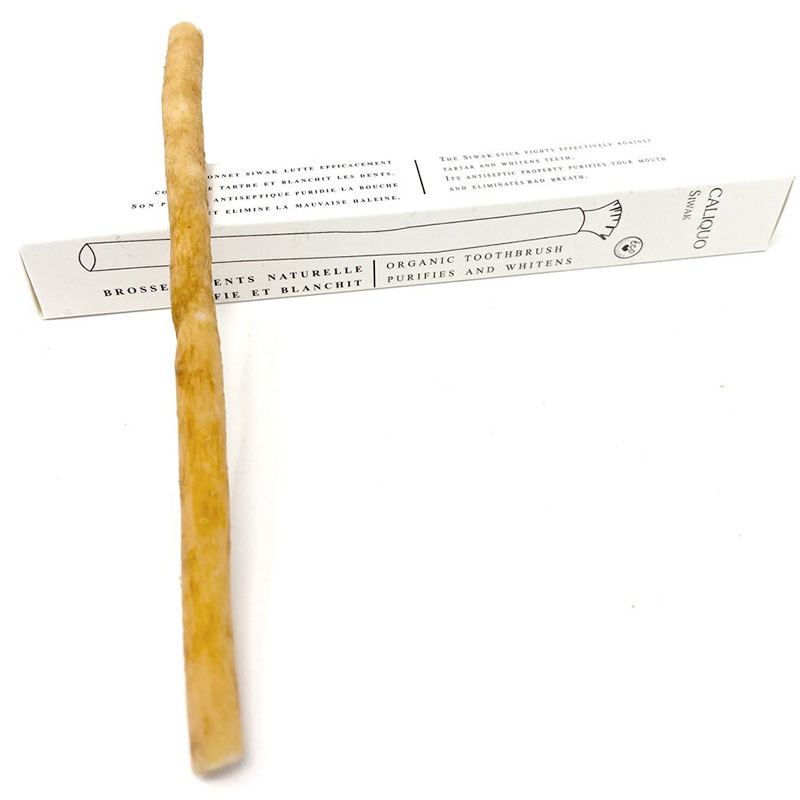 Miswak Stick Caliquo Siwak Stick 100 % natürliche Zahnbürste