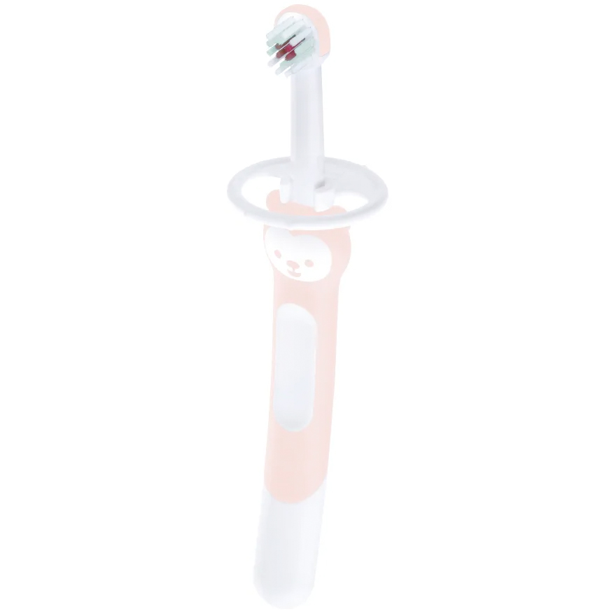Lernzahnbürste MAM Protection Shield & Teddybär-Griff 5+ Monate PINK