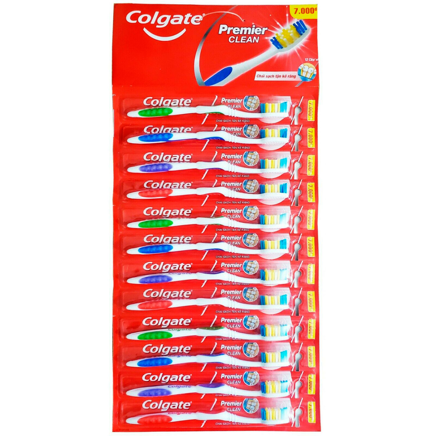 Colgate Zahnbürsten 12 Stk. Premier Clean Soft