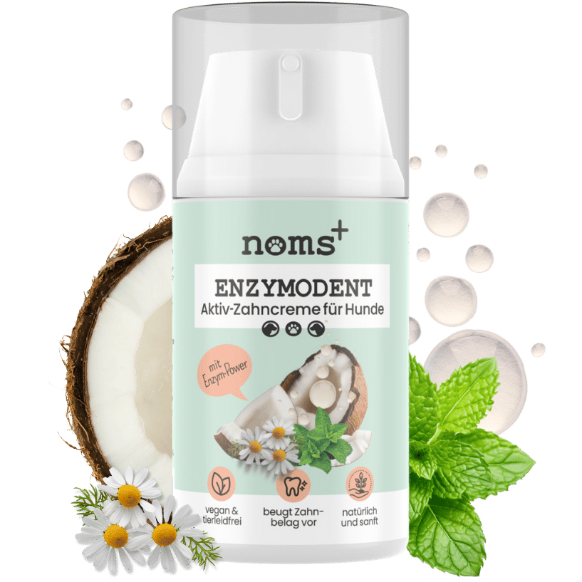 Noms+ Enzymodent Aktiv Zahncreme für Hunde – enzymbasierte Zahnpflege mit Minze und Kamille (75 ml.)