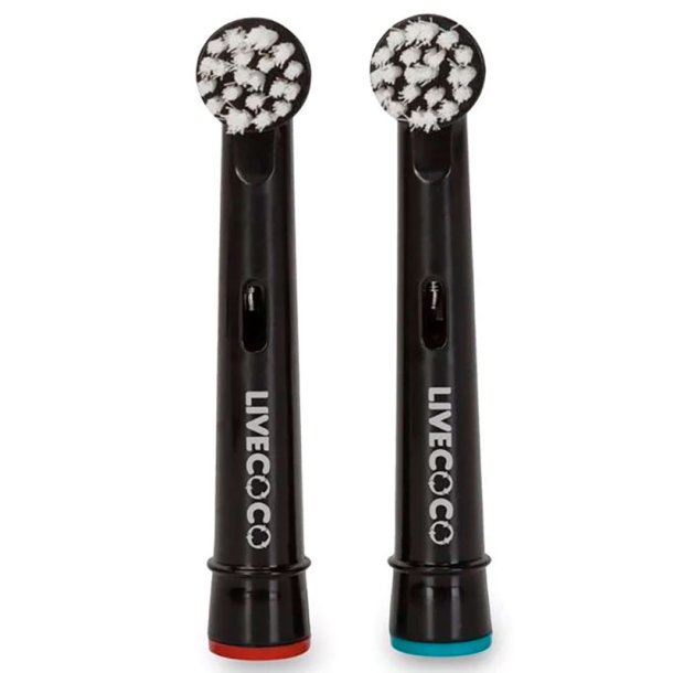 Bredygtige Brstehoveder Til Brn LiveCoco Kids