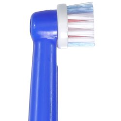 Dentadan Color Clean Brstehoder for Oral-B 8 pcs. Kompatibel