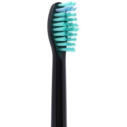 DENTADAN Sorte Brstehoveder til Philips Sonicare med Beskyttelseshtter 6 stk.