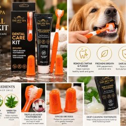 The Pet Spa London Dental Care Kit f�r hundar – Tandkr�m, 3-sidig tandborste &amp; 2 fingertandborstar