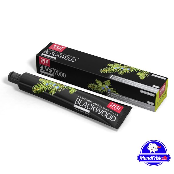 SPLAT Spezielle Blackwood-Zahnpasta ohne Fluor