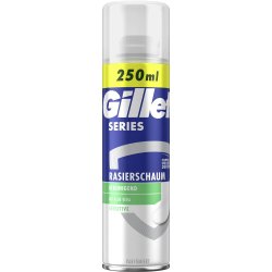 Gillette Shaving Foam Series Sensitive 250 ml