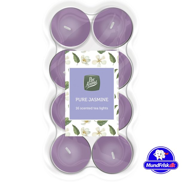 Duftkerzen 16 Stk. Reines Jasmin- Pan Aroma