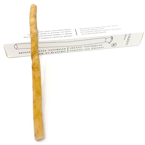 Miswak Stick Caliquo Siwak Stick 100 % naturlig tannbrste