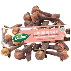 Ayurvedisk Tandpaste DABUR Cavity Protection Organic Clove 100 ml