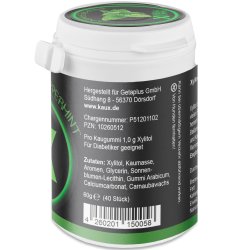 Naturligt Xylitol Tuggummi KAUX Peppermint 40 st. 60 g