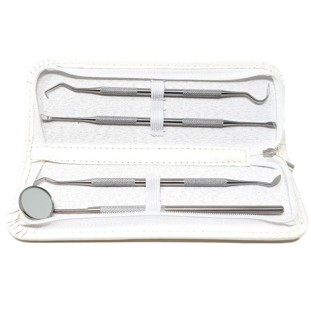 Tandplejest Taske 4 dele Tandlgeredskaber Rustfrit Stl Glamza