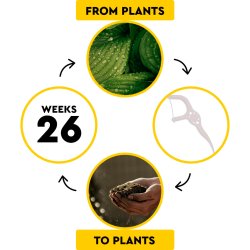 Komposterbara tandtrdsplockar RADIUS EcoClean Floss 50 st.
