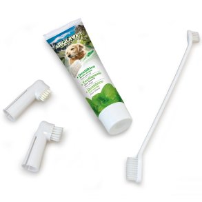 Arquivet Zahnpflegeset f�r Hunde mit Zahnpasta und 3 Zahnb�rsten