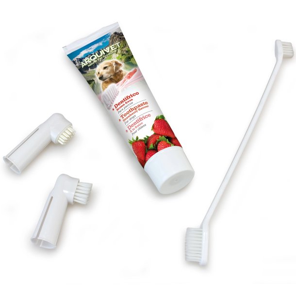 Arquivet Zahnpflegeset f�r Hunde mit Erdbeer-Zahnpasta und 3 Zahnb�rsten