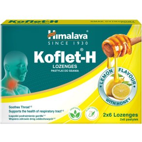 Kopi af Pastilles Ayurvediques HIMALAYA Koflet-H Ginger & Honey 12 pcs
