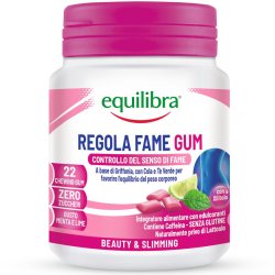 Equilibra Appetite Control Chewing Gum Mint &amp; Lime (22 kpl)