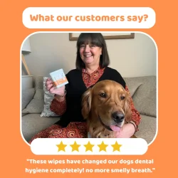 DogsLife Dental Wipes – 50 Finger-Tücher für Hunde