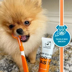 DogsLife Dental Care Kit � komplettes Zahnpasta-Pflegeset für Hunde mit Zahnpasta, dreifacher Zahnbürste und Fingerbürsten
