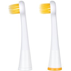 Edel+White Sonic Generation Focus Brstehoveder