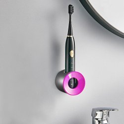 Vgghllare fr eltandborste