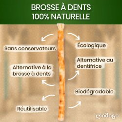 Miswak Sticks 3 Stk. mit Schutzetui ORINKO Siwak Sticks 100% Natürliche Zahnbürste