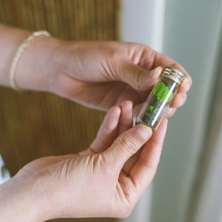 Bredygtig Tandtrd Me Mother Earth 30 mtr. + Glasdispenser