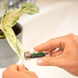 Hllbar tandtrd Bamboo Switch Charcoal Glass Dispenser 30 mtr