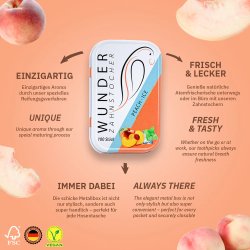 Wunder Tannpirkere Smaksatt PEACH Ice Metal Ash