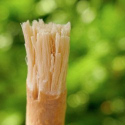Miswak Pind i Beskyttelse Etui ORINKO Siwak Sticks 100% Naturlig Tandbrste