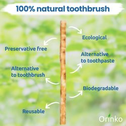 Miswak Pind 2 stk. med Beskyttelse Etui ORINKO Siwak Sticks 100% Naturlig Tandbrste
