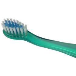 Tandborste med timer fr barn Les Babygators