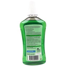 Today Dent Mouthwash Fresh Mint 500ml