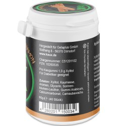Naturligt Xylitol Tuggummi KAUX Cinnamon 40 st. 60 g