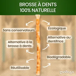 Miswak Pinner 5 stk. ORINKO Siwak Sticks 100% Naturlig Toothbrush