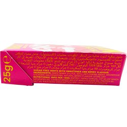 Pastilles au xylitol CNDY Berry Sugar Free Mints � base de plantes � 25 pcs.