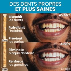 Miswak Pinner 5 stk. incl. Etui ORINKO Siwak Sticks 100% Naturlig Tannb�rste