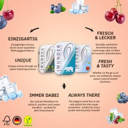 Wunder Tandstikker Med Smag FRESH Sampak