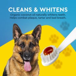 RADIUS Organic Canine Dental Gel  Ökologische Zahnpasta für Hunde mit coconut oil und süßer Kartoffel (80 ml)