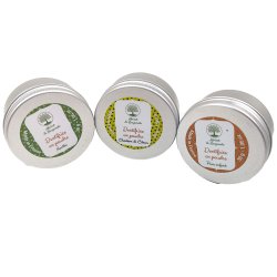 Ekologisk tandkrm Powder Eco-conseils Mint