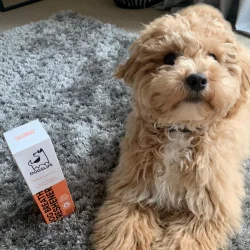 Our Dogs Life Breath Freshener � Vattentillsats f�r hundar mot d�lig andedr�kt och tandbel�ggning � 237 ml