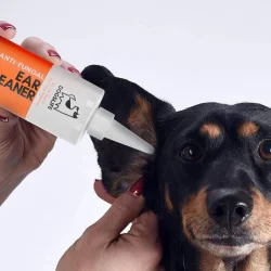 DogsLife Anti-Fungal Ear Cleaner � Ohrenreiniger für Hunde mit aloe vera und kokos � 237 ml