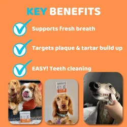 DogsLife Dental Wipes – 50 Finger-Tücher für Hunde