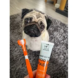 DogsLife Dental Care Kit � komplettes Zahnpasta-Pflegeset für Hunde mit Zahnpasta, dreifacher Zahnbürste und Fingerbürsten