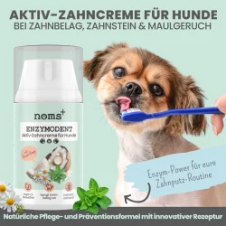 Noms+ Enzymodent Aktiv Zahnpasta-Creme f�r Hunde – enzymbasierte Zahnpflege mit mint und Kamille (75 ml.)