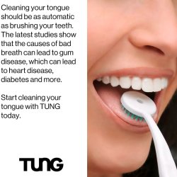 Tungrengring TUNG Brush Tungborste