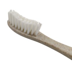 Hllbar majstandborste + tandkrm The Humble Co.