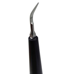 Elektrischer Zahnreiniger gegen Plaque und Zahnstein