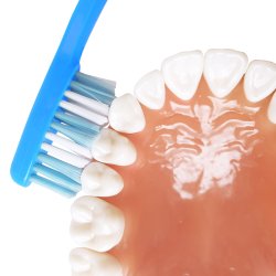 4 st. Ekulf Amigo tandborstar